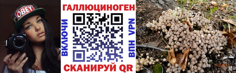 Купить  Губкинский  Псилоцибиновые грибы прущие грибы 